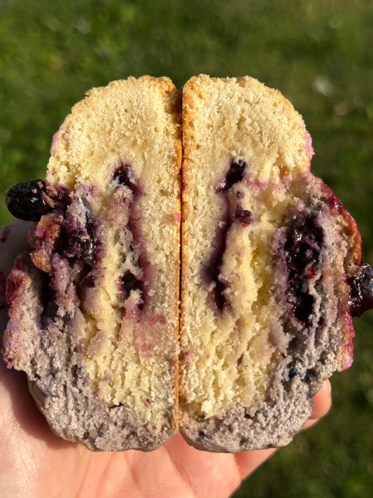 Lemon Blueberry